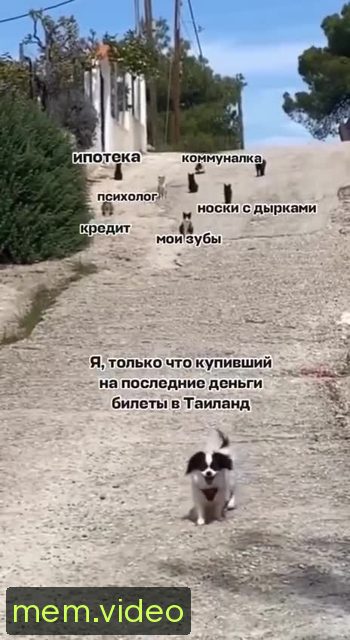 Кадр на 0:03