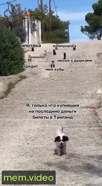 Кадр на 0:04