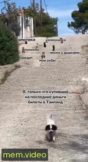 Кадр на 0:04