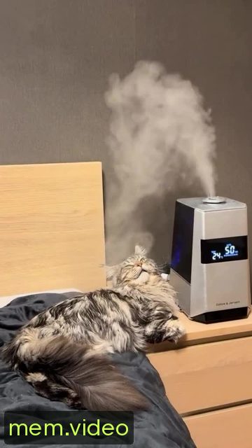 Кадр на 0:01