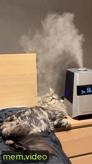 Кадр на 0:02