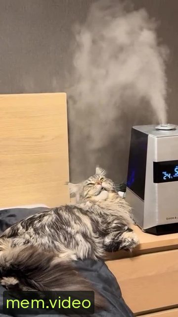 Кадр на 0:02