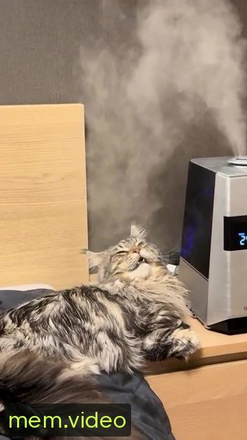 Кадр на 0:03