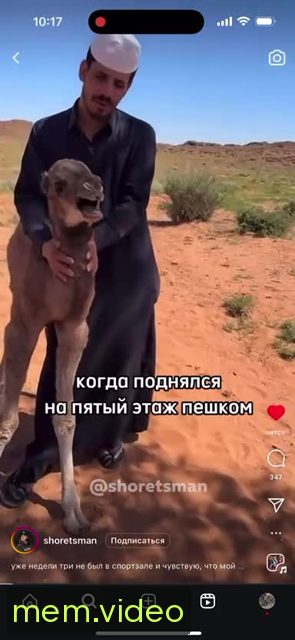 Кадр на 0:00