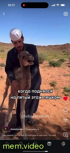 Кадр на 0:02