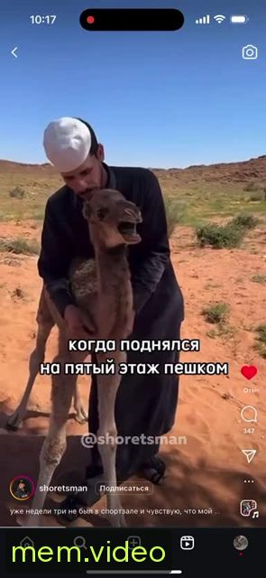 Кадр на 0:02