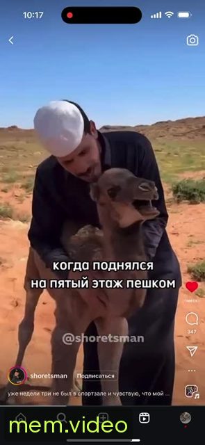 Кадр на 0:03