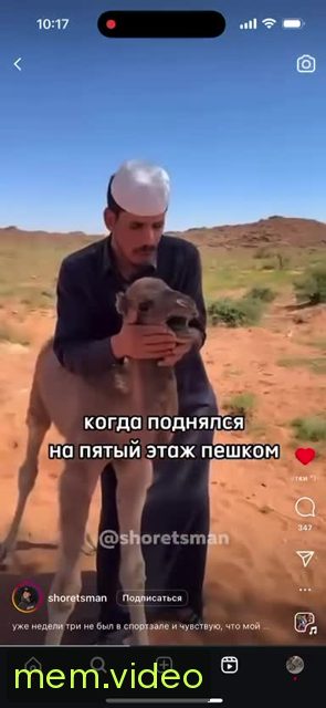 Кадр на 0:05