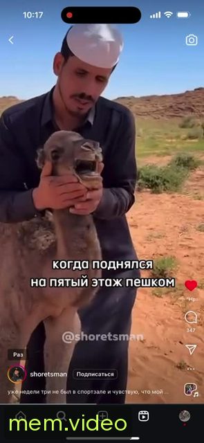Кадр на 0:06