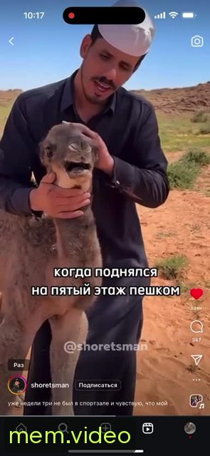 Кадр на 0:07
