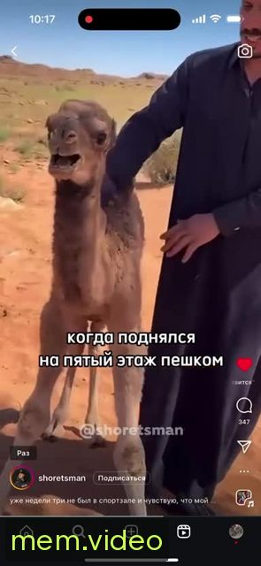 Кадр на 0:08