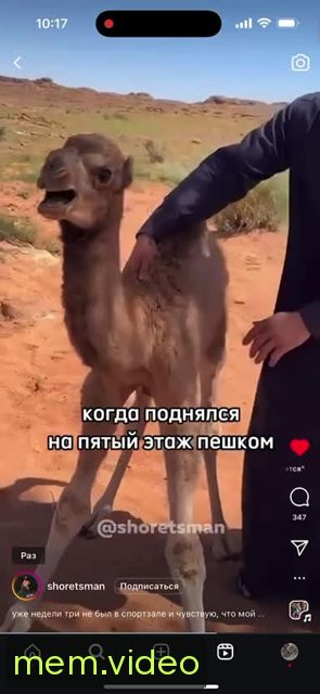 Кадр на 0:08