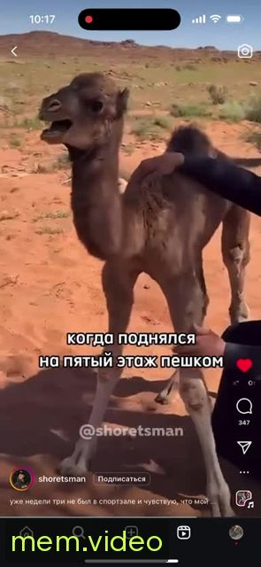Кадр на 0:10