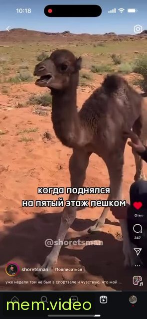 Кадр на 0:11
