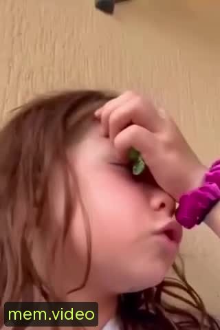 Кадр на 0:00