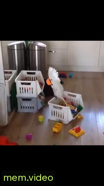 Кадр на 0:01