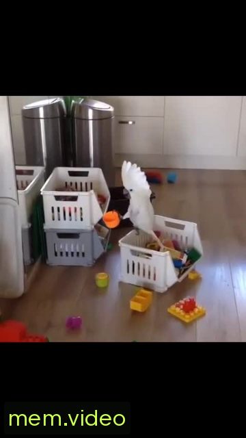 Кадр на 0:02