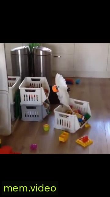 Кадр на 0:03