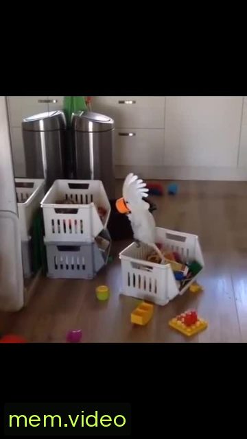 Кадр на 0:10