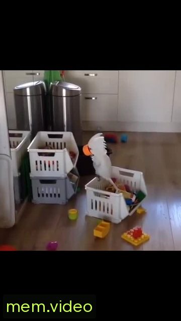 Кадр на 0:11