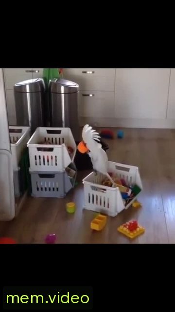 Кадр на 0:13