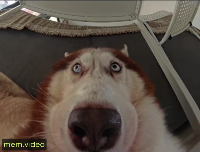 Кадр на 0:11