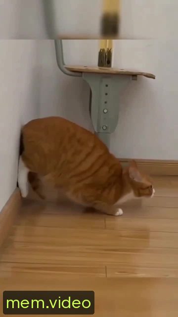 Кадр на 0:01