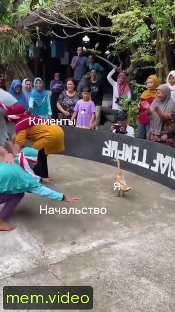 Кадр на 0:01