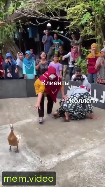 Кадр на 0:09