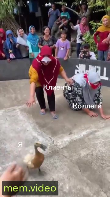 Кадр на 0:11