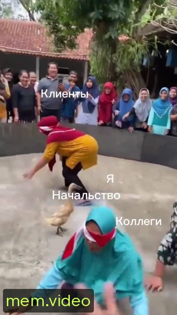 Кадр на 0:16