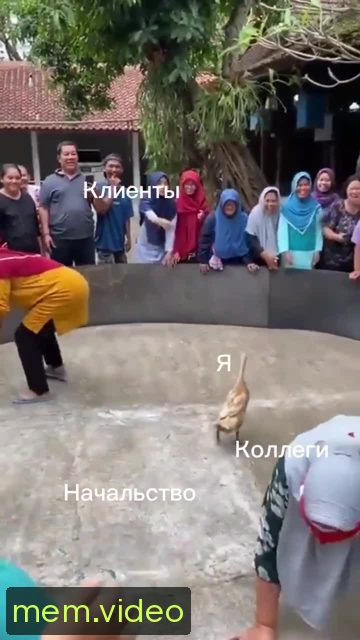 Кадр на 0:18