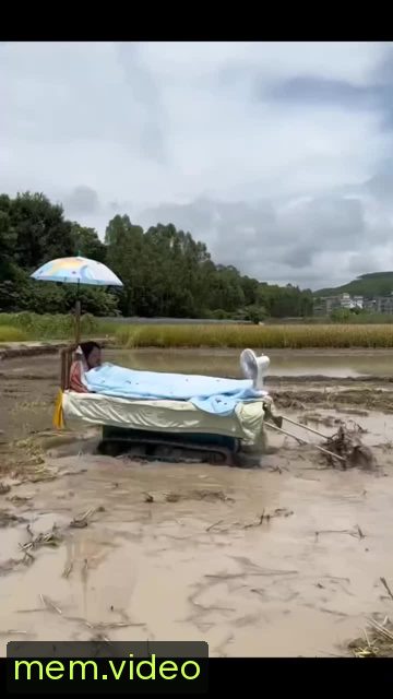 Кадр на 0:08