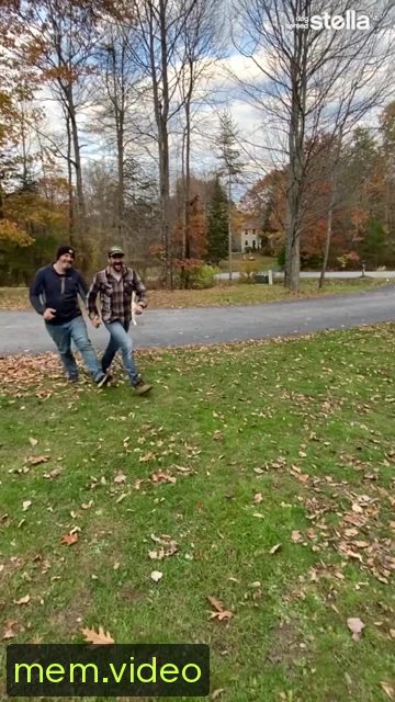 Кадр на 0:00