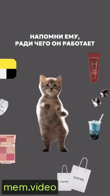 Кадр на 0:01