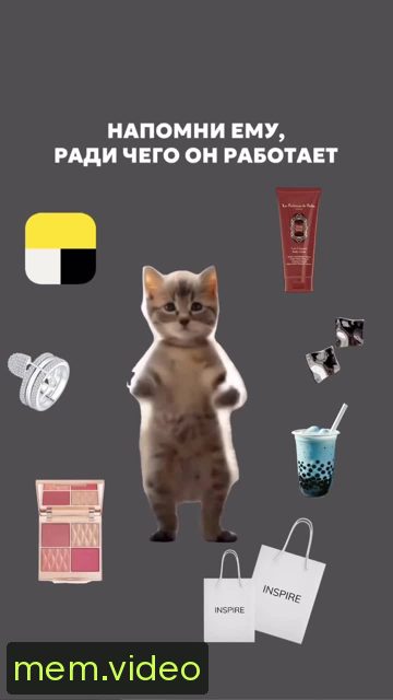 Кадр на 0:02