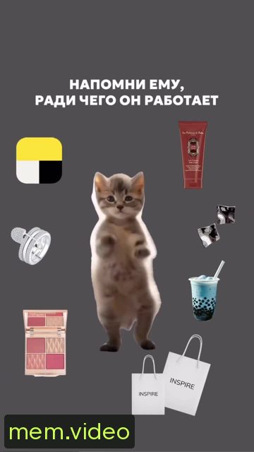 Кадр на 0:03