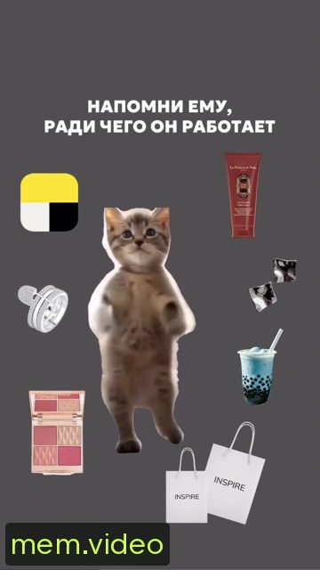 Кадр на 0:04