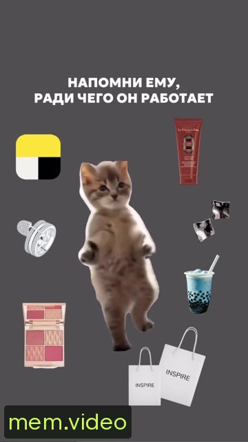 Кадр на 0:05