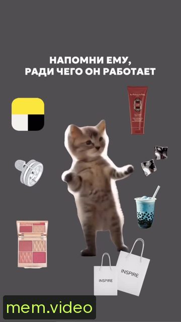 Кадр на 0:06
