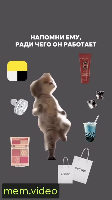 Кадр на 0:07
