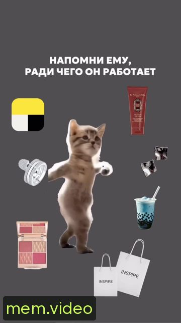 Кадр на 0:09