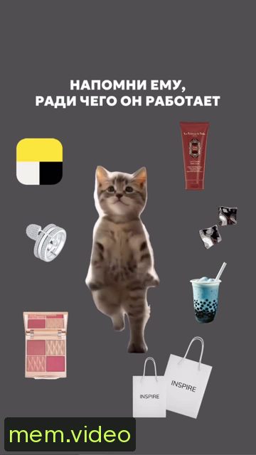 Кадр на 0:09