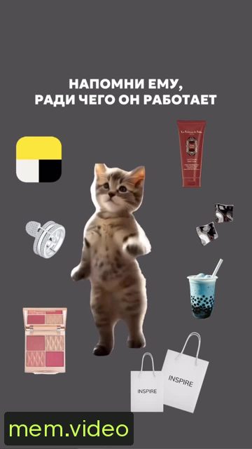 Кадр на 0:11