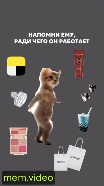 Кадр на 0:12