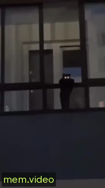 Кадр на 0:00
