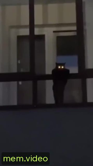 Кадр на 0:00