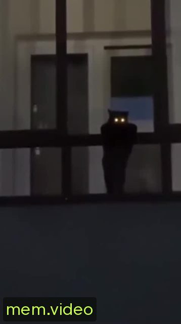 Кадр на 0:01