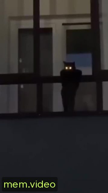 Кадр на 0:03
