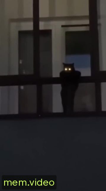 Кадр на 0:03